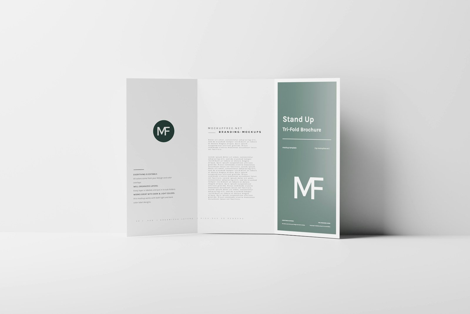 SNN Creative brochure presentation